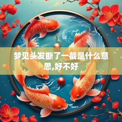 梦见头发断了一截是什么意思,好不好