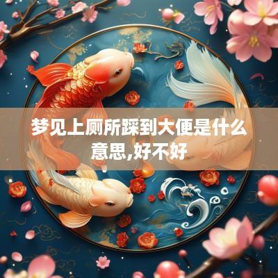 梦见上厕所踩到大便是什么意思,好不好