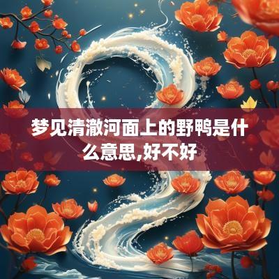 梦见清澈河面上的野鸭是什么意思,好不好