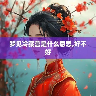 梦见冷藏盒是什么意思,好不好