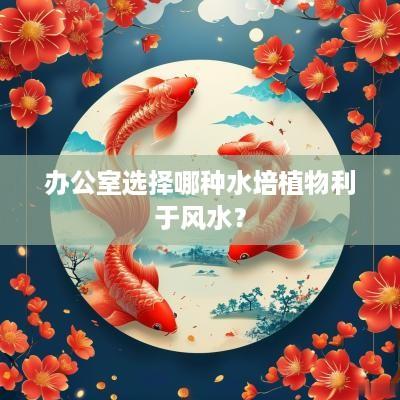 办公室选择哪种水培植物利于风水？