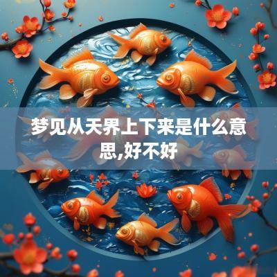 梦见从天界上下来是什么意思,好不好