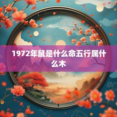 1972年鼠是什么命五行属什么木
