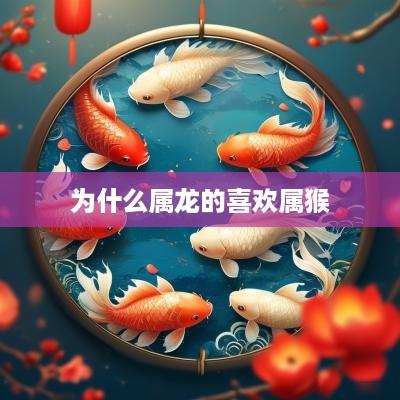 为什么属龙的喜欢属猴