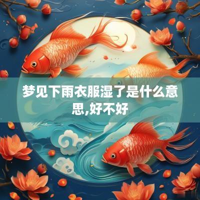梦见下雨衣服湿了是什么意思,好不好