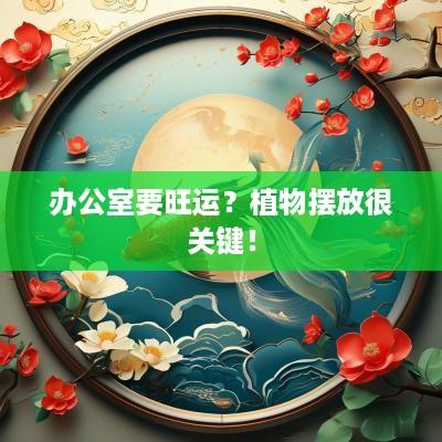 办公室要旺运？植物摆放很关键！