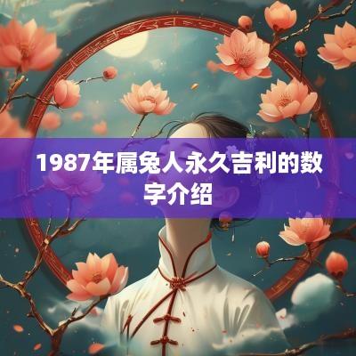 1987年属兔人永久吉利的数字介绍