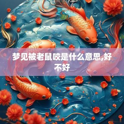 梦见被老鼠咬是什么意思,好不好