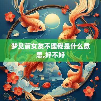 梦见前女友不理我是什么意思,好不好