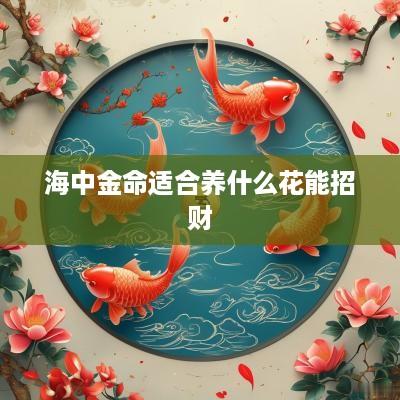 海中金命适合养什么花能招财