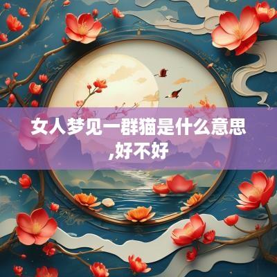 女人梦见一群猫是什么意思,好不好