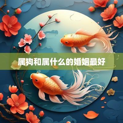 属狗和属什么的婚姻最好