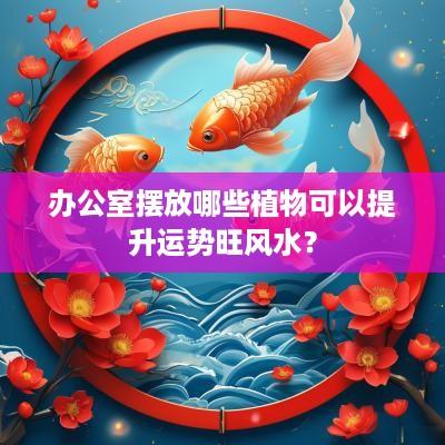 办公室摆放哪些植物可以提升运势旺风水？