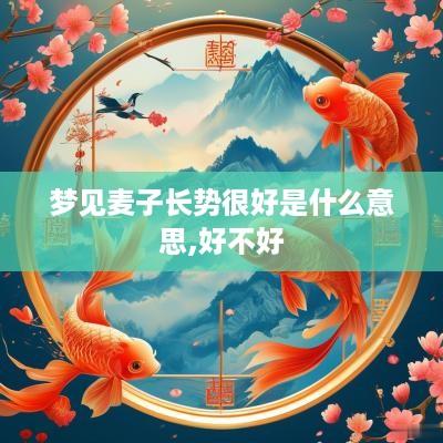 梦见麦子长势很好是什么意思,好不好