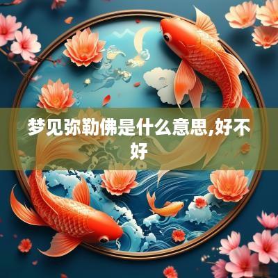 梦见弥勒佛是什么意思,好不好