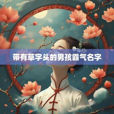 带有草字头的男孩霸气名字