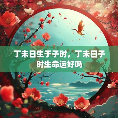 丁未日生于子时，丁未日子时生命运好吗