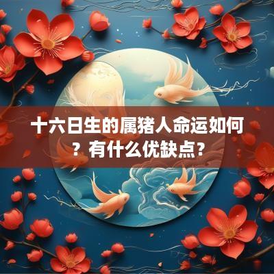 十六日生的属猪人命运如何？有什么优缺点？
