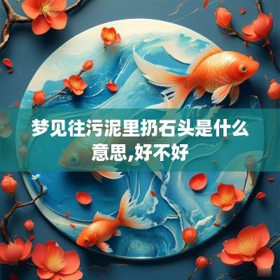 梦见往污泥里扔石头是什么意思,好不好