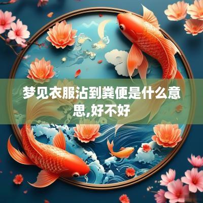 梦见衣服沾到粪便是什么意思,好不好