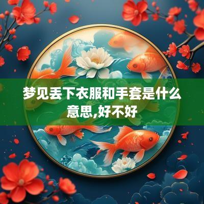 梦见丢下衣服和手套是什么意思,好不好