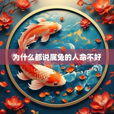 为什么都说属兔的人命不好