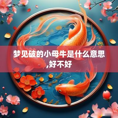 梦见破的小母牛是什么意思,好不好