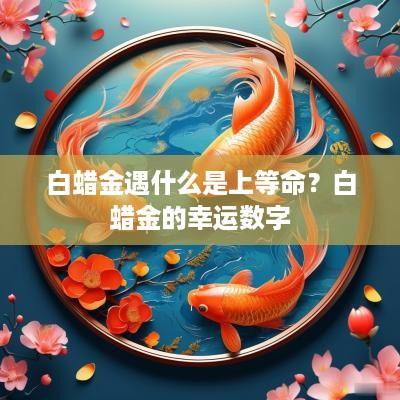 白蜡金遇什么是上等命？白蜡金的幸运数字