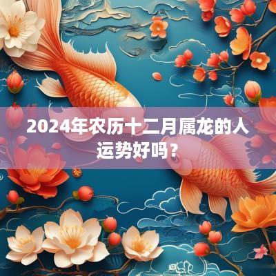 2025年农历十二月属龙的人运势好吗？