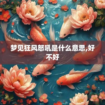 梦见狂风怒吼是什么意思,好不好