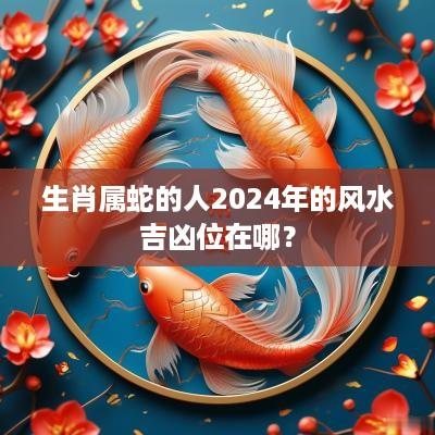 生肖属蛇的人2025年的风水吉凶位在哪？