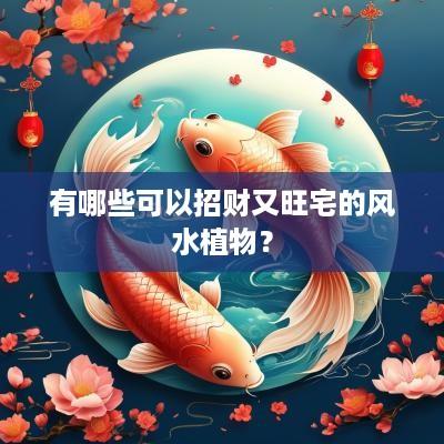 有哪些可以招财又旺宅的风水植物？