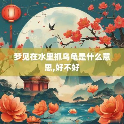 梦见在水里抓乌龟是什么意思,好不好