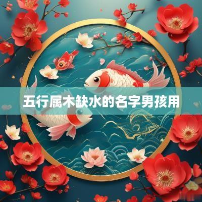 五行属木缺水的名字男孩用
