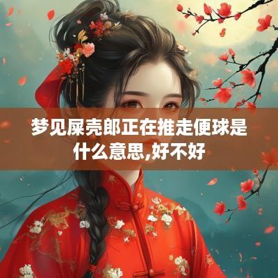 梦见屎壳郎正在推走便球是什么意思,好不好