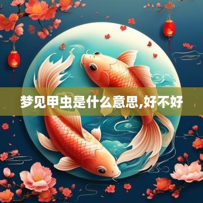 梦见甲虫是什么意思,好不好
