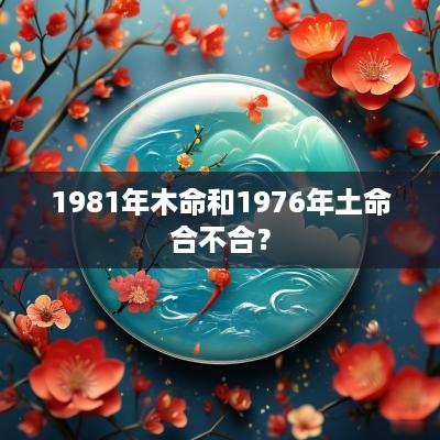 1981年木命和1976年土命合不合？