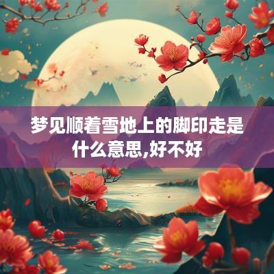 梦见顺着雪地上的脚印走是什么意思,好不好