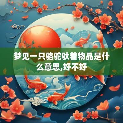 梦见一只骆驼驮着物品是什么意思,好不好