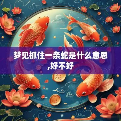 梦见抓住一条蛇是什么意思,好不好