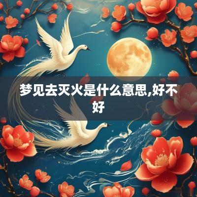 梦见去灭火是什么意思,好不好