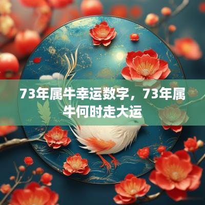 73年属牛幸运数字，73年属牛何时走大运
