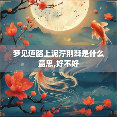 梦见道路上泥泞荆棘是什么意思,好不好