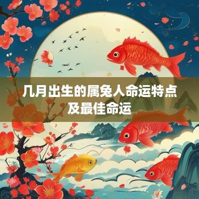 几月出生的属兔人命运特点及最佳命运
