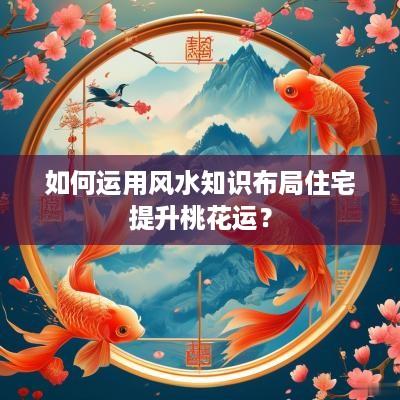 如何运用风水知识布局住宅提升桃花运？