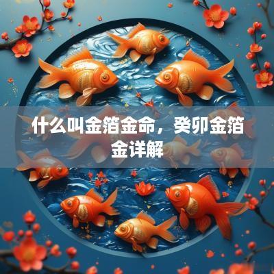 什么叫金箔金命，癸卯金箔金详解