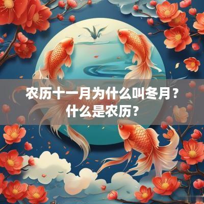 农历十一月为什么叫冬月？什么是农历？