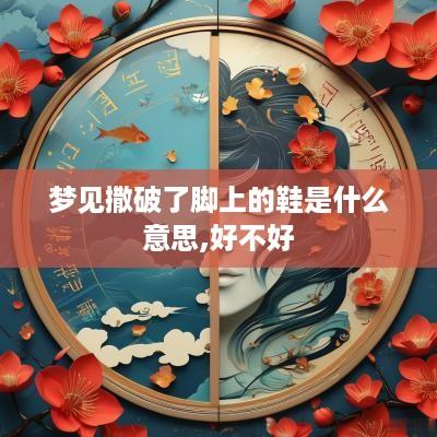 梦见撒破了脚上的鞋是什么意思,好不好