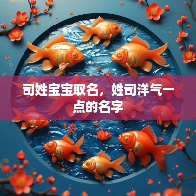 司姓宝宝取名，姓司洋气一点的名字