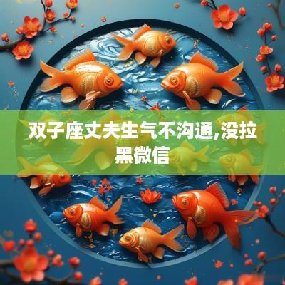 双子座丈夫生气不沟通,没拉黑微信